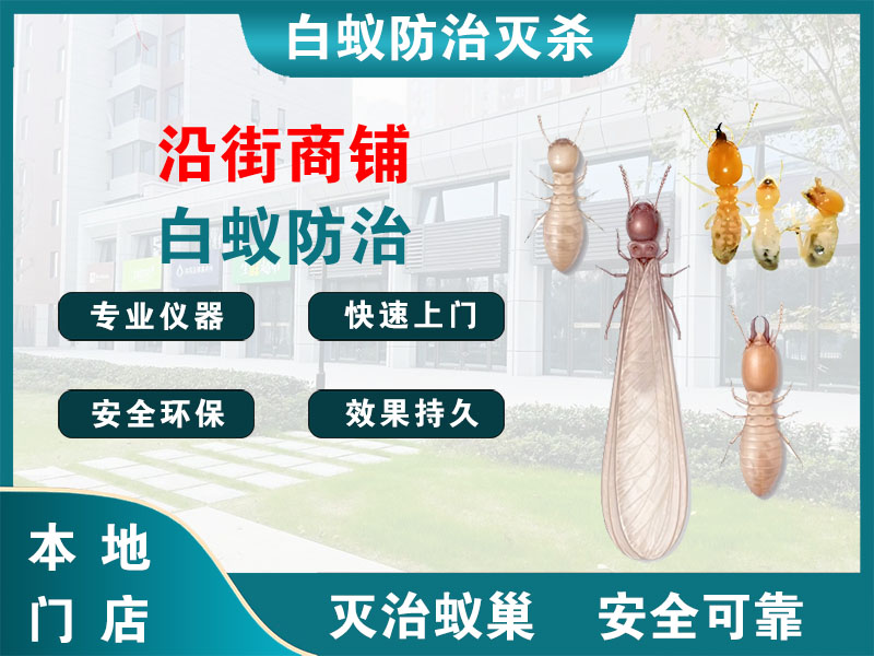 玄武沿街商铺白蚁防治