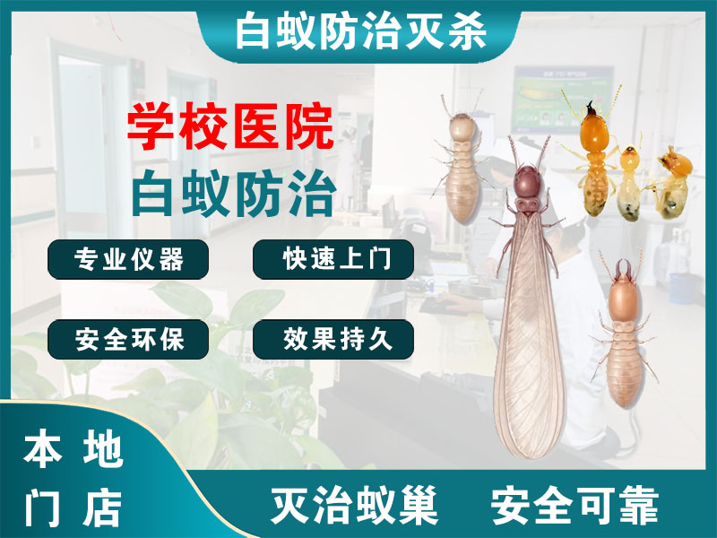 玄武学校医院白蚁防治