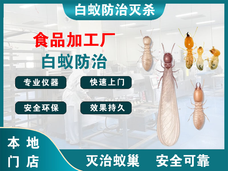玄武食品加工厂白蚁防治