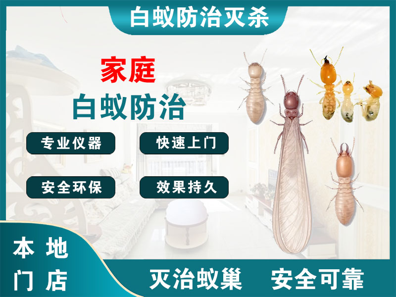 玄武家庭白蚁防治