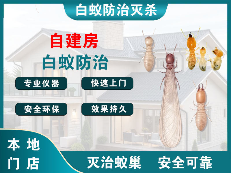玄武自建房白蚁防治