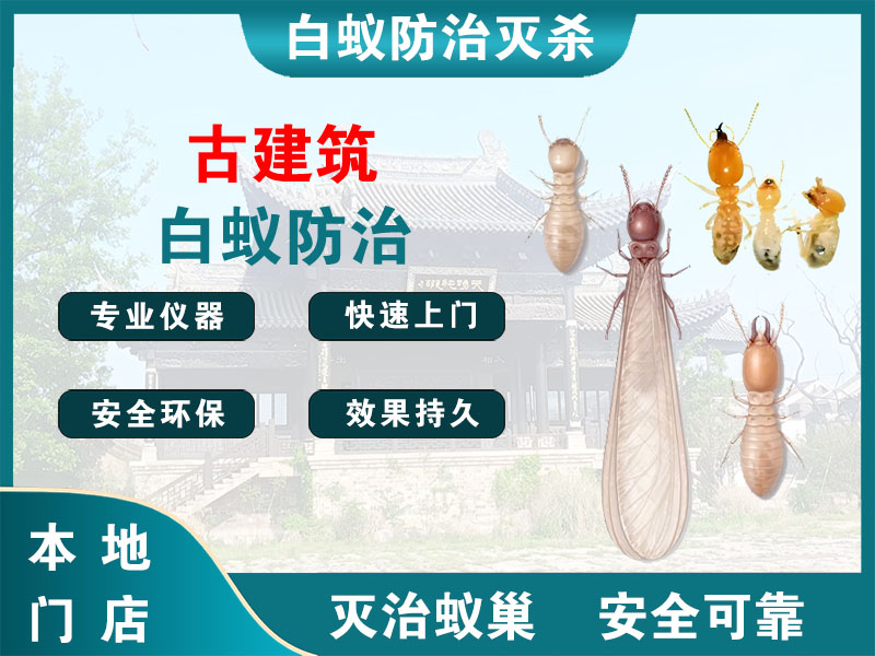 玄武古建筑白蚁防治