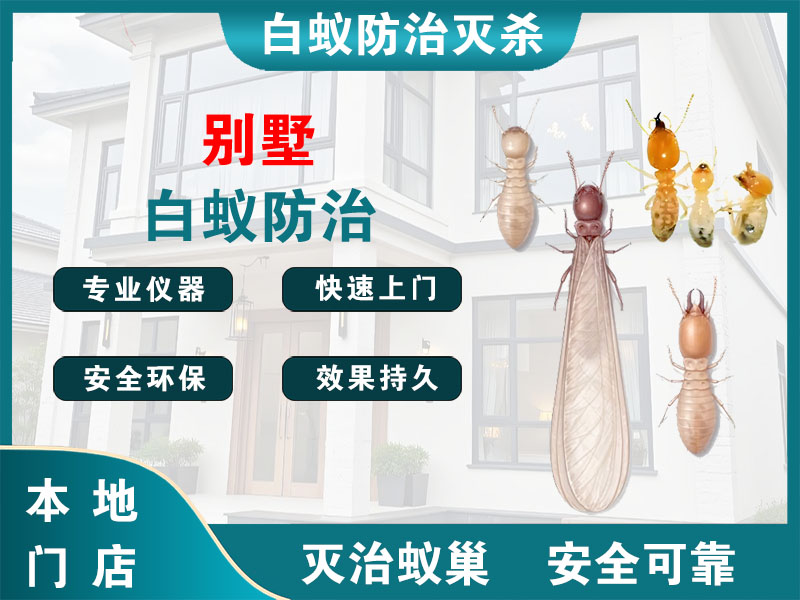 玄武别墅白蚁防治
