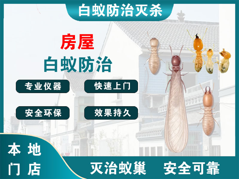 玄武房屋白蚁防治